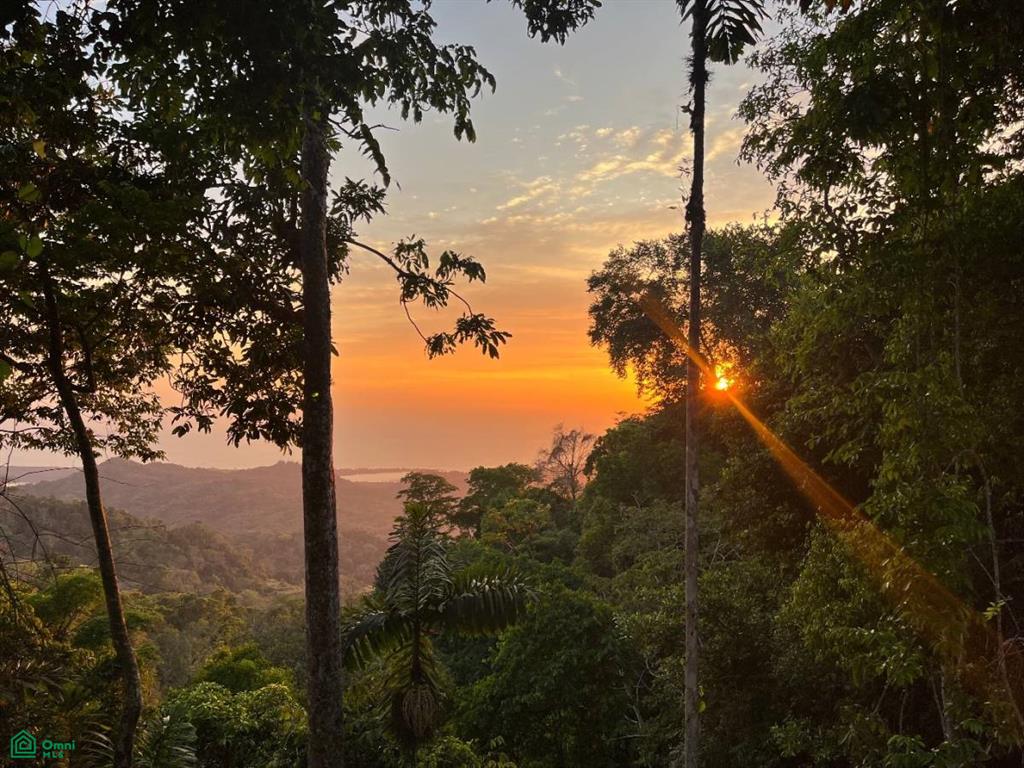 10min From El Pavon Wate Vergel De Osa Puntarenas
