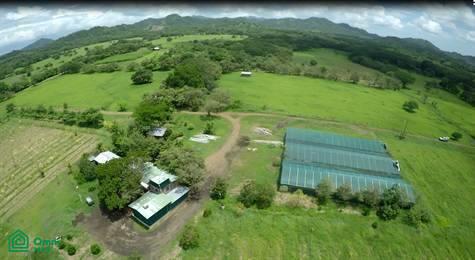 73 Hectare Farm Guanacaste
