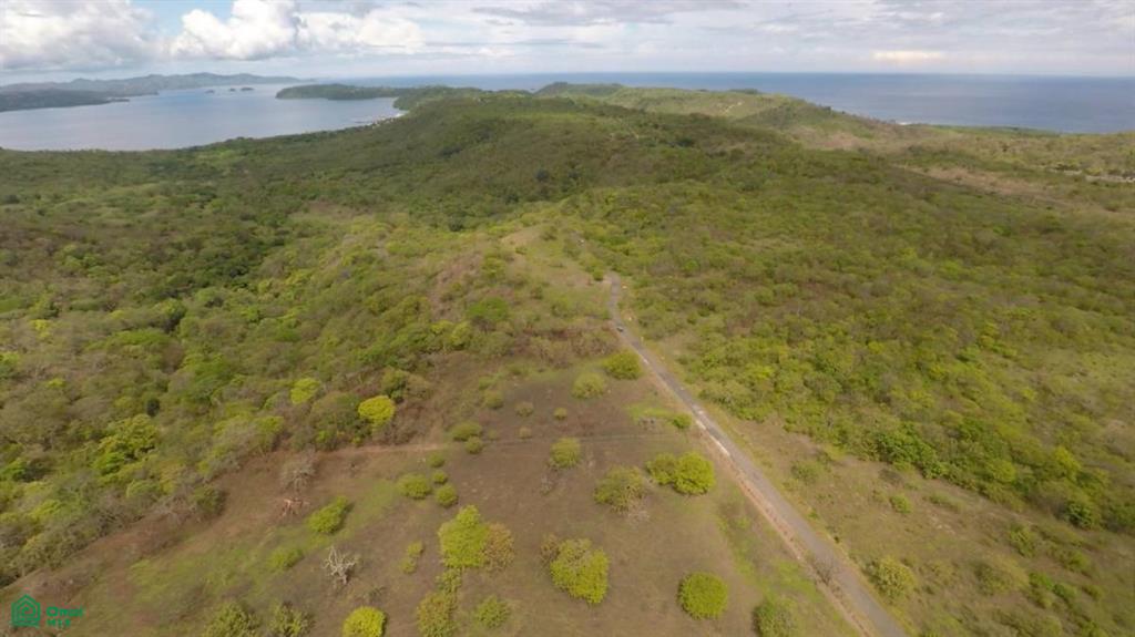Papagayo 1ha Ocean View Lot Liberia Guanacaste