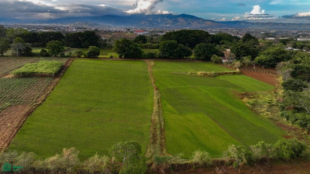 Near International Airpor Flat Land for Sale, San Isidro, Alajuela, Costa Rica