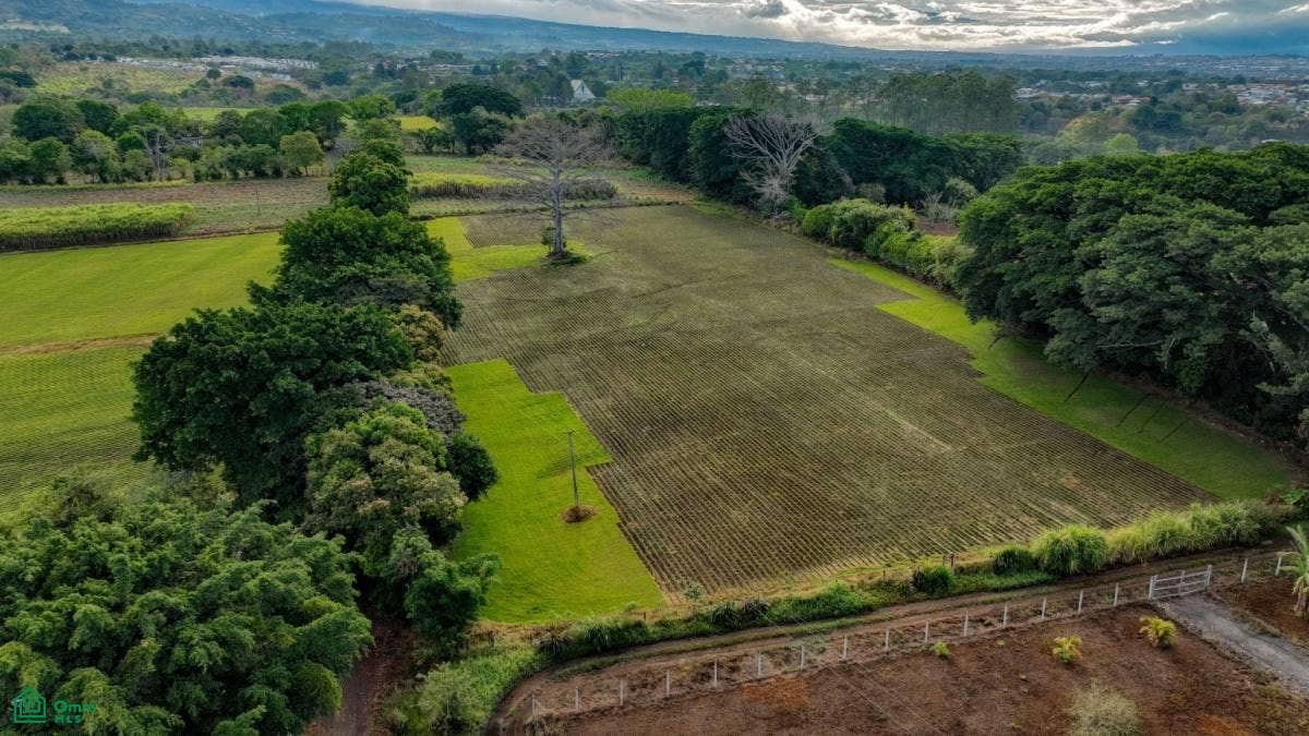 Near International Airpor Flat Land for Sale, San Isidro, Alajuela, Costa Rica