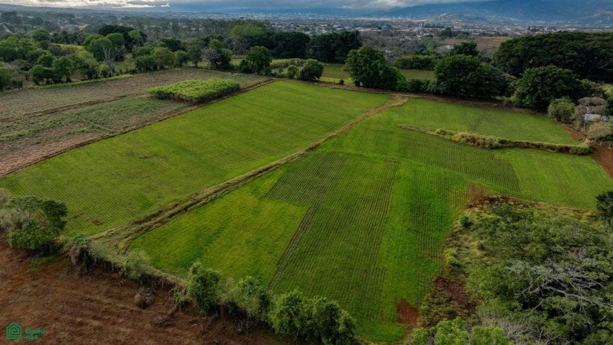 Near International Airpor Flat Land for Sale, San Isidro, Alajuela, Costa Rica