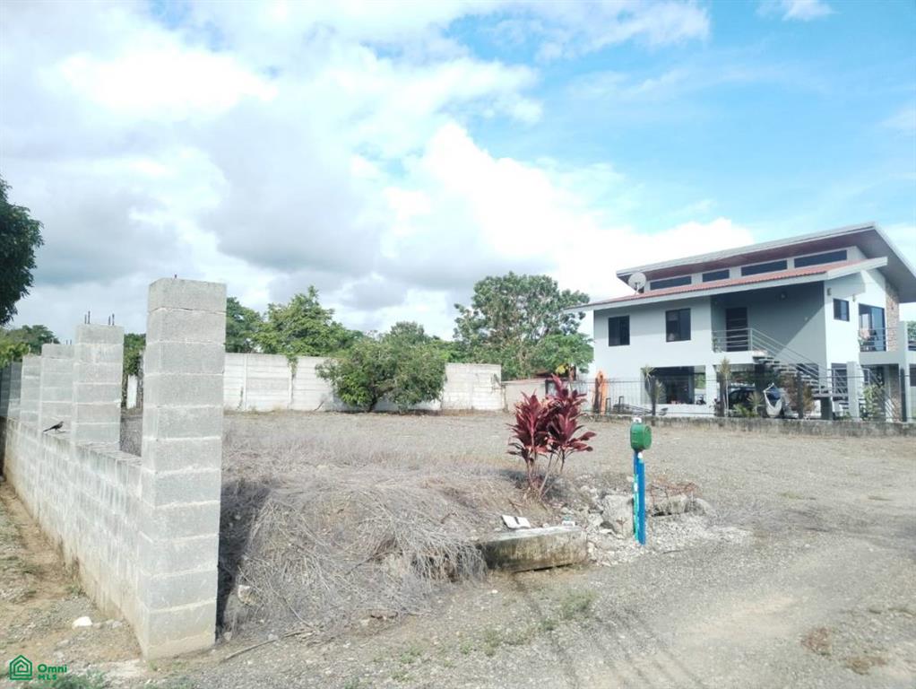 Paquita Puntarenas