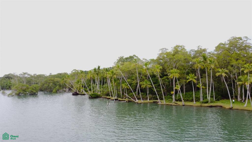 s/n Sandalo, Puerto Jimnez, Golfito, Golfito, Puntarenas, Costa Rica