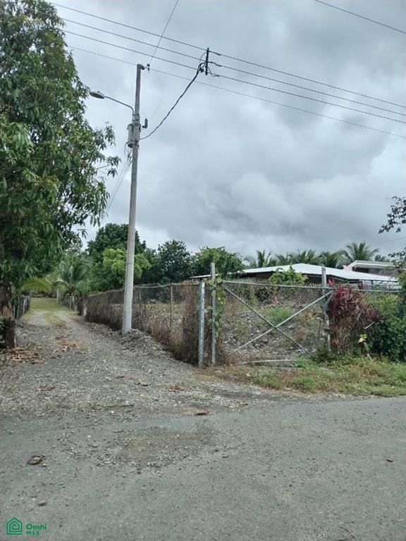 Paquita Puntarenas