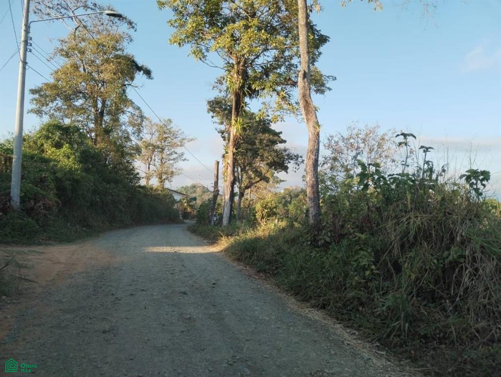 Ronnys Place Puntarenas