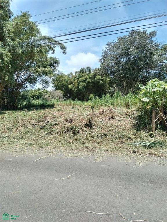 Paquita Puntarenas