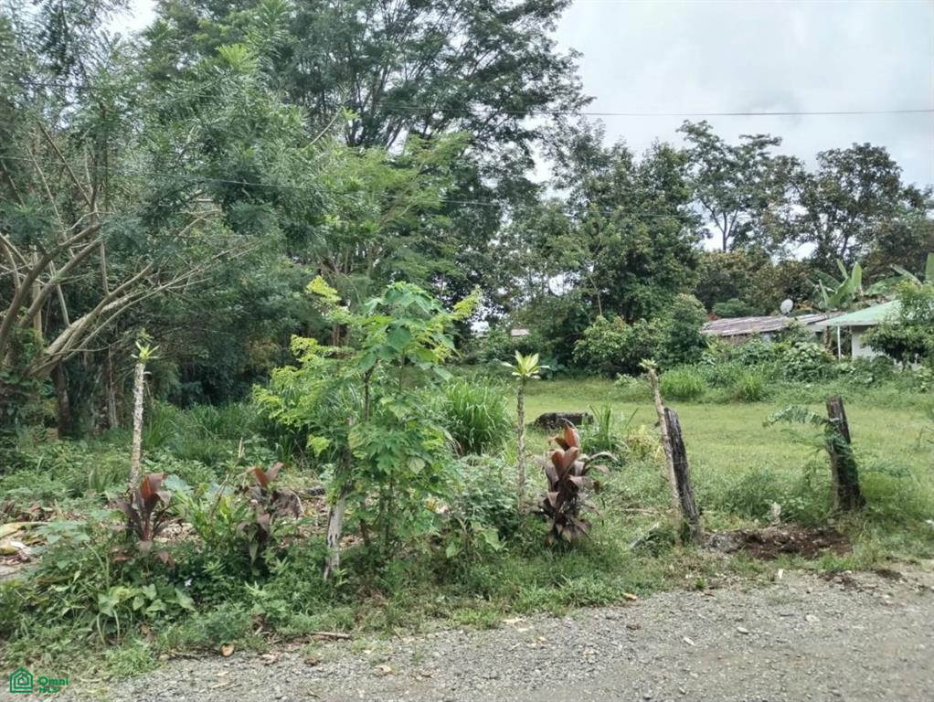 Londres Puntarenas