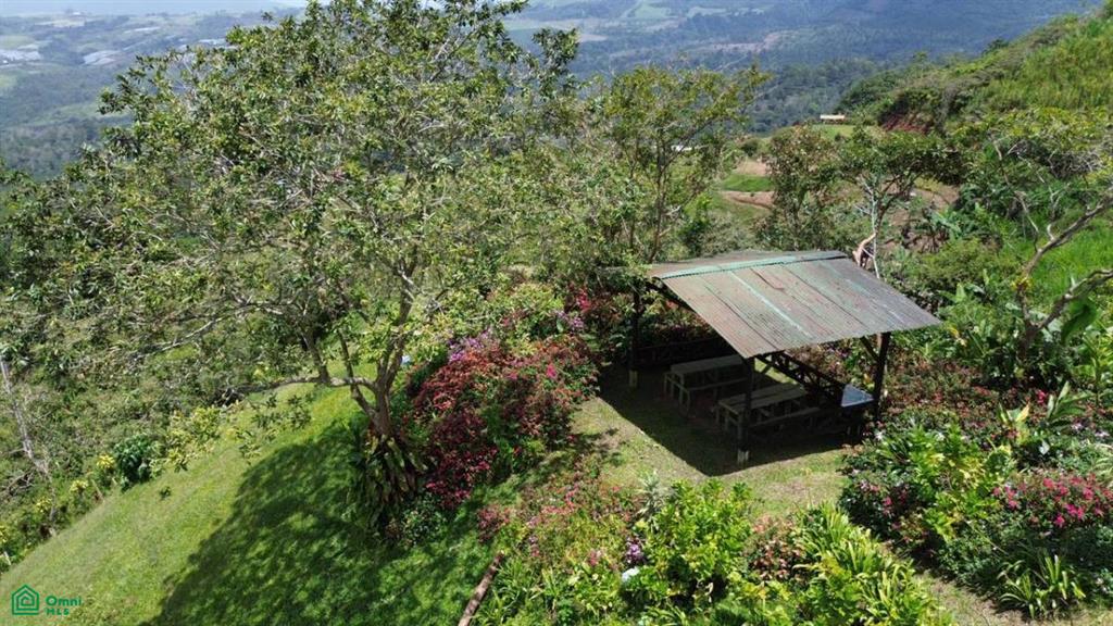 El Carmen De Santa Cruz Turrialba Cartago