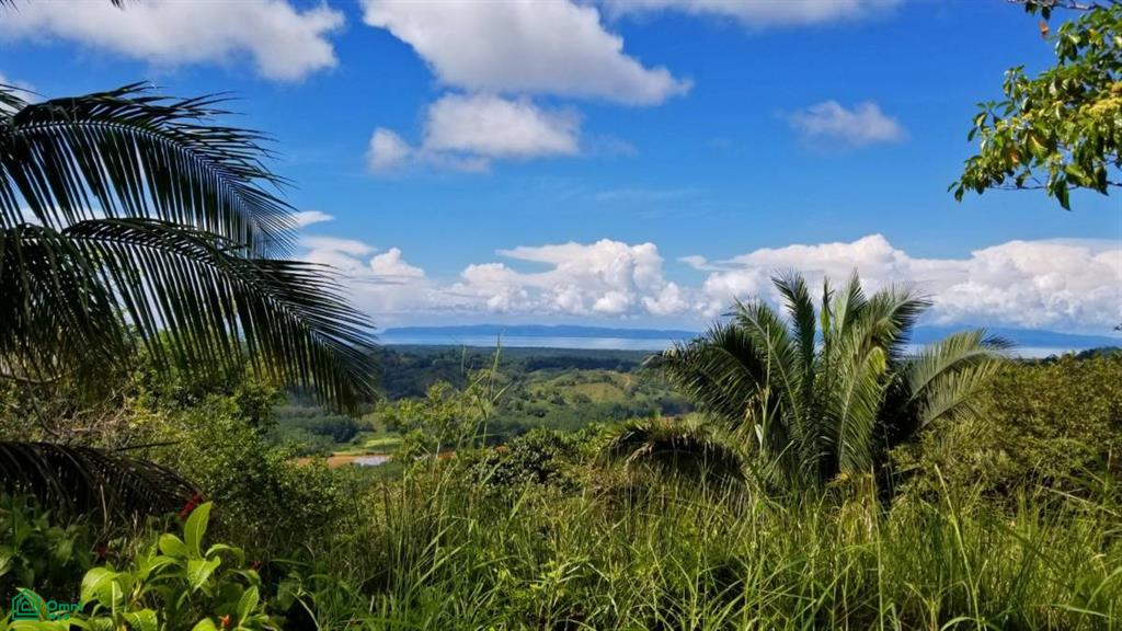 La Florida De Golfito, Golfito, Golfito, Golfito, Puntarenas, Costa Rica 60701