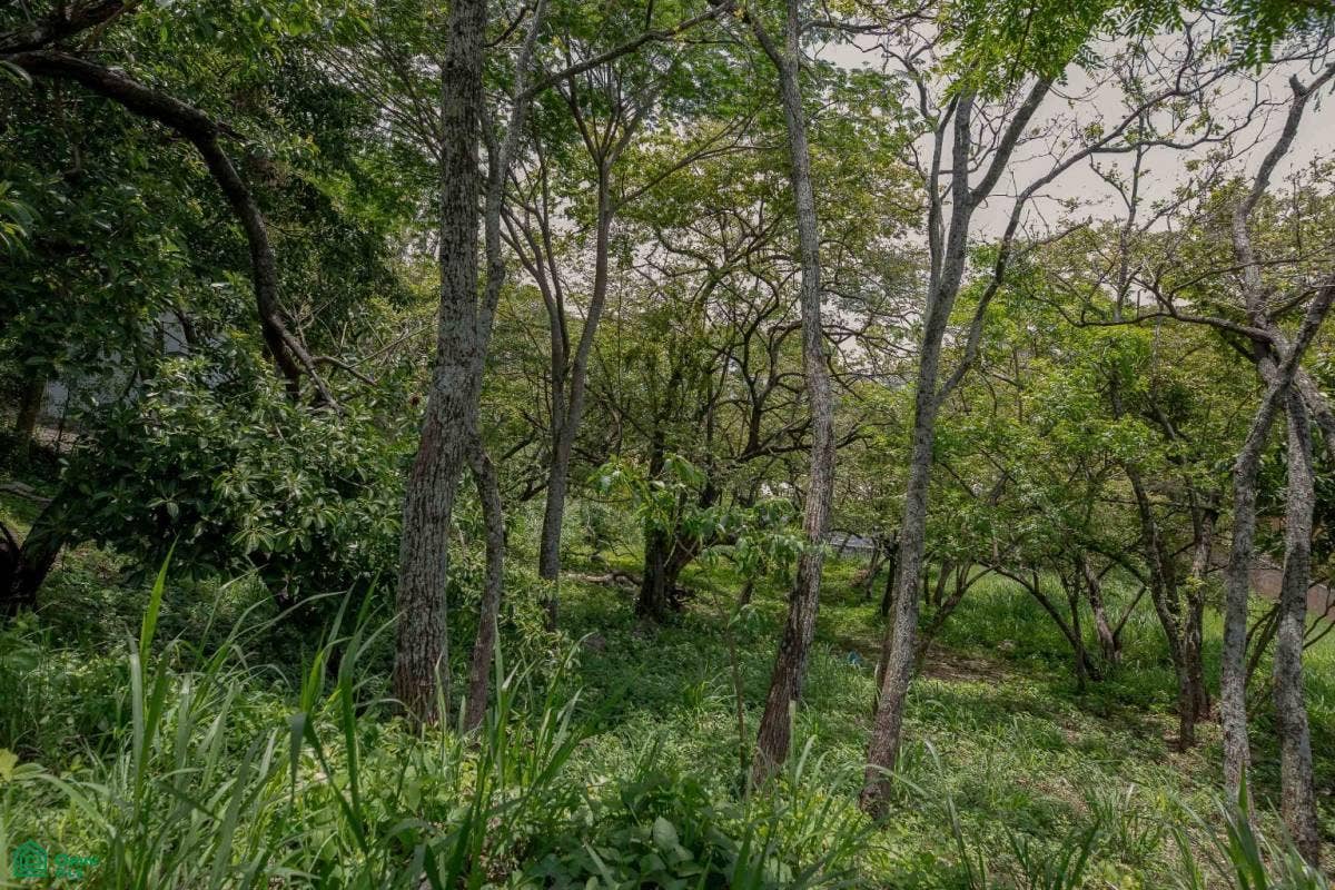 Residential Private Lush Lot Allows for Subdivision, Santa Ana, Santa Ana, Santa Ana, San Jose, Costa Rica 10904 Residential Private Lush Lot Allows for Subdivision, Santa Ana, Santa Ana, Santa Ana, San Jose, Costa Rica 10904