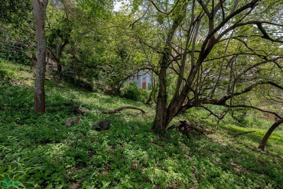 Residential Private Lush Lot Allows for Subdivision, Santa Ana, Santa Ana, Santa Ana, San Jose, Costa Rica 10904 Residential Private Lush Lot Allows for Subdivision, Santa Ana, Santa Ana, Santa Ana, San Jose, Costa Rica 10904