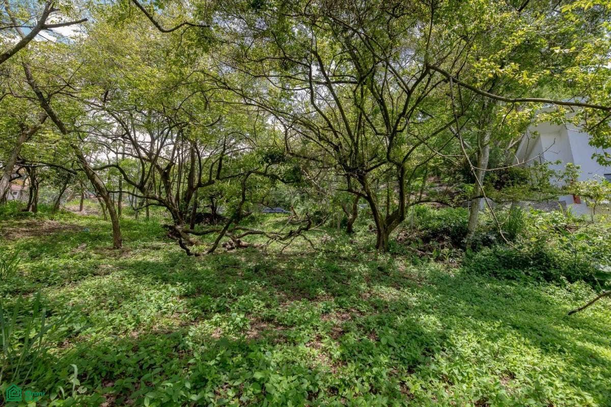 Residential Private Lush Lot Allows for Subdivision, Santa Ana, Santa Ana, Santa Ana, San Jose, Costa Rica 10904 Residential Private Lush Lot Allows for Subdivision, Santa Ana, Santa Ana, Santa Ana, San Jose, Costa Rica 10904