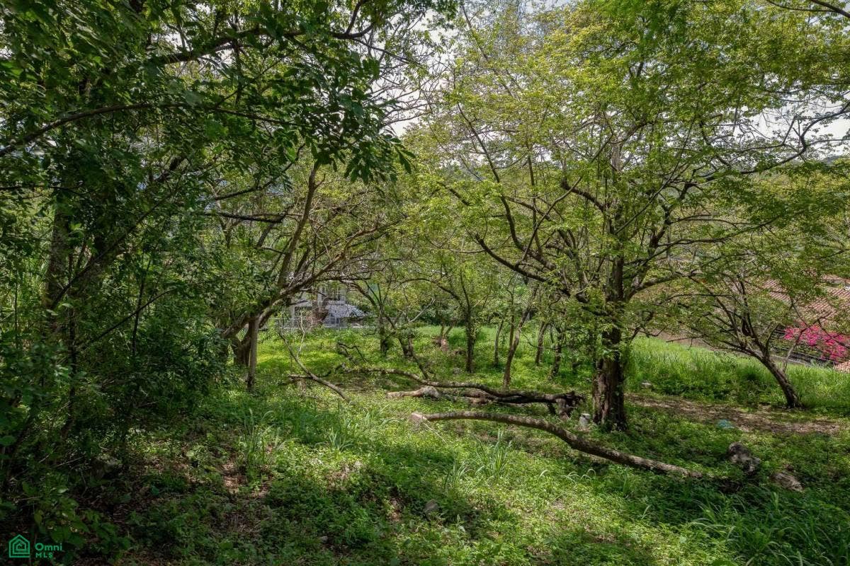 Residential Private Lush Lot Allows for Subdivision, Santa Ana, Santa Ana, Santa Ana, San Jose, Costa Rica 10904 Residential Private Lush Lot Allows for Subdivision, Santa Ana, Santa Ana, Santa Ana, San Jose, Costa Rica 10904