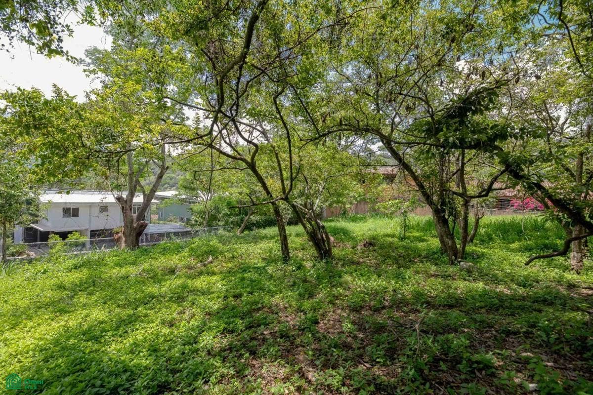 Residential Private Lush Lot Allows for Subdivision, Santa Ana, Santa Ana, Santa Ana, San Jose, Costa Rica 10904 Residential Private Lush Lot Allows for Subdivision, Santa Ana, Santa Ana, Santa Ana, San Jose, Costa Rica 10904