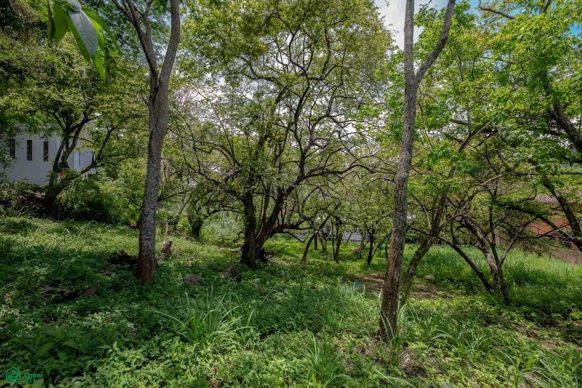 Residential Private Lush Lot Allows for Subdivision, Santa Ana, Santa Ana, Santa Ana, San Jose, Costa Rica 10904 Residential Private Lush Lot Allows for Subdivision, Santa Ana, Santa Ana, Santa Ana, San Jose, Costa Rica 10904