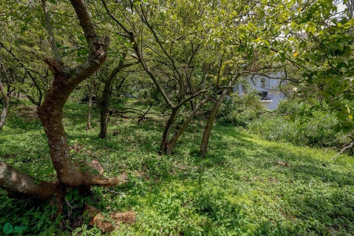 Residential Private Lush Lot Allows for Subdivision, Santa Ana, Santa Ana, Santa Ana, San Jose, Costa Rica 10904 Residential Private Lush Lot Allows for Subdivision, Santa Ana, Santa Ana, Santa Ana, San Jose, Costa Rica 10904