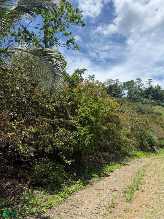 El Sol De Tres X Turrialba Cartago
