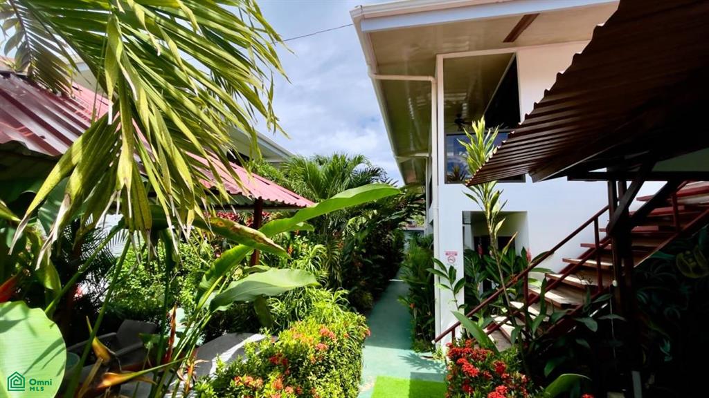 Bahia Ballena Uvita Puntarenas