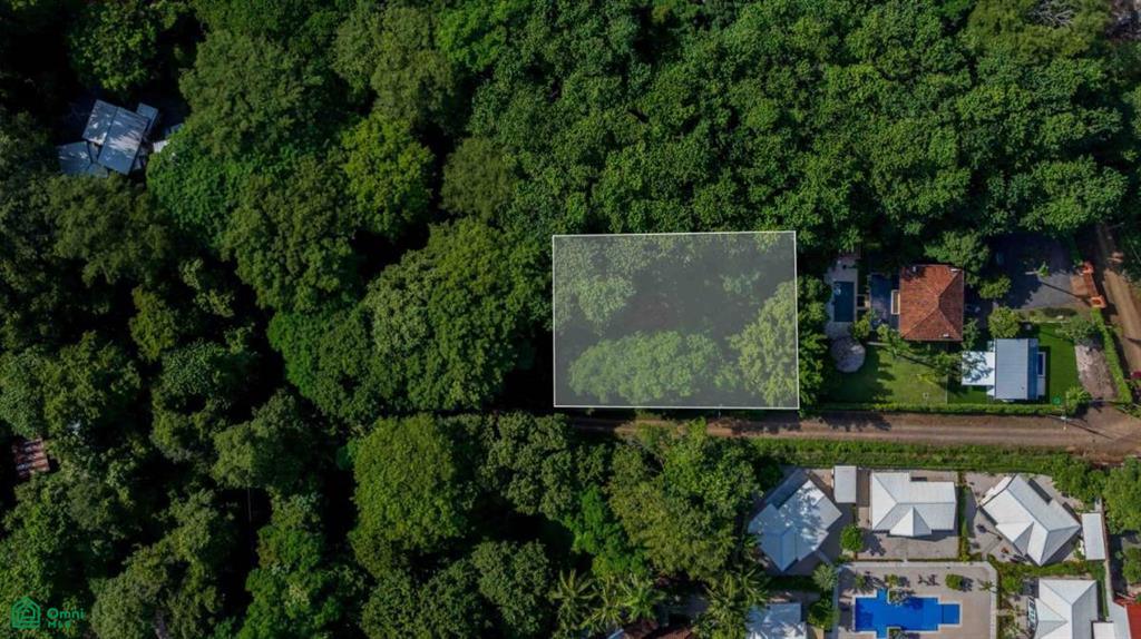 Investment Beach Lot Santa Cruz Guanacaste