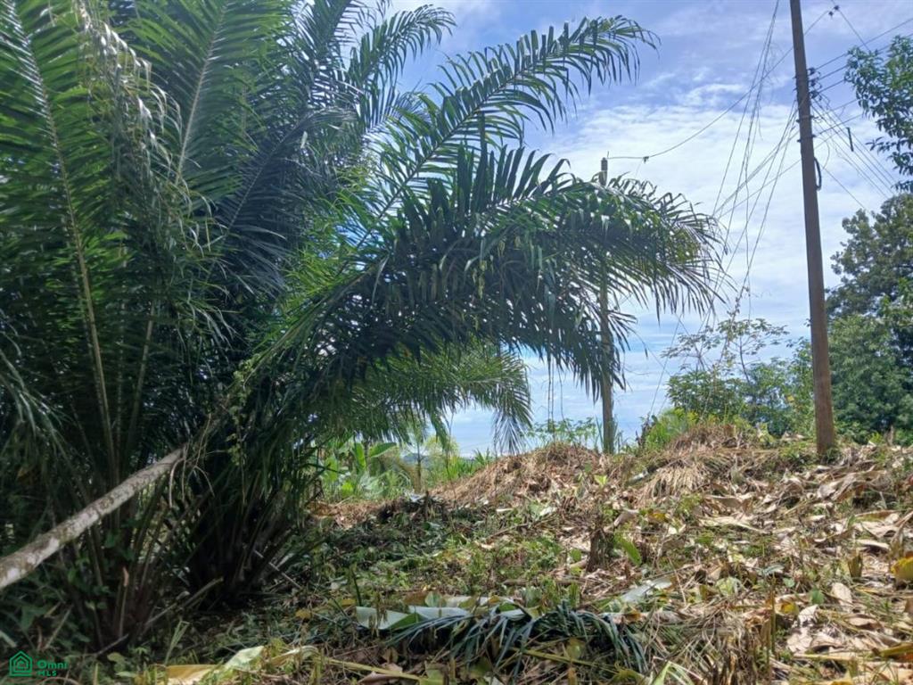 27 Ojochal Phase 5 Puntarenas