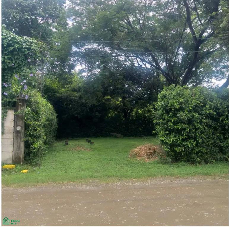 Prime Lot In Surfside Just Steps From Potrero Bea Santa Cruz Guanacaste
