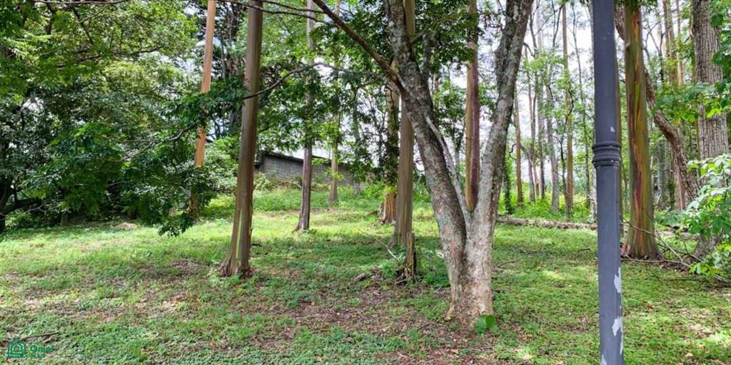 Escazu San Jose