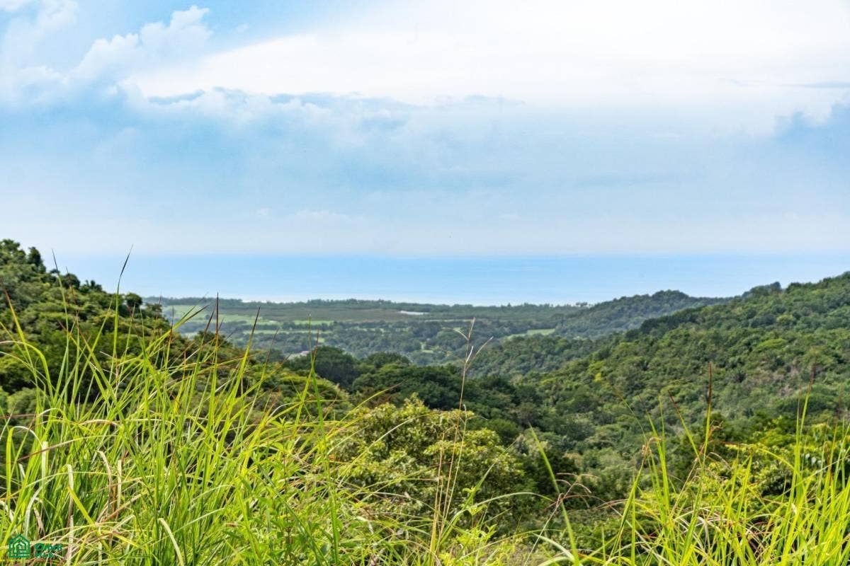 Ocean View Lots, Pilas de Bejuco, Guanacaste, Bejuco, Bejuco, Nandayure, Guanacaste, Costa Rica 50906 Ocean View Lots, Pilas de Bejuco, Guanacaste, Bejuco, Bejuco, Nandayure, Guanacaste, Costa Rica 50906