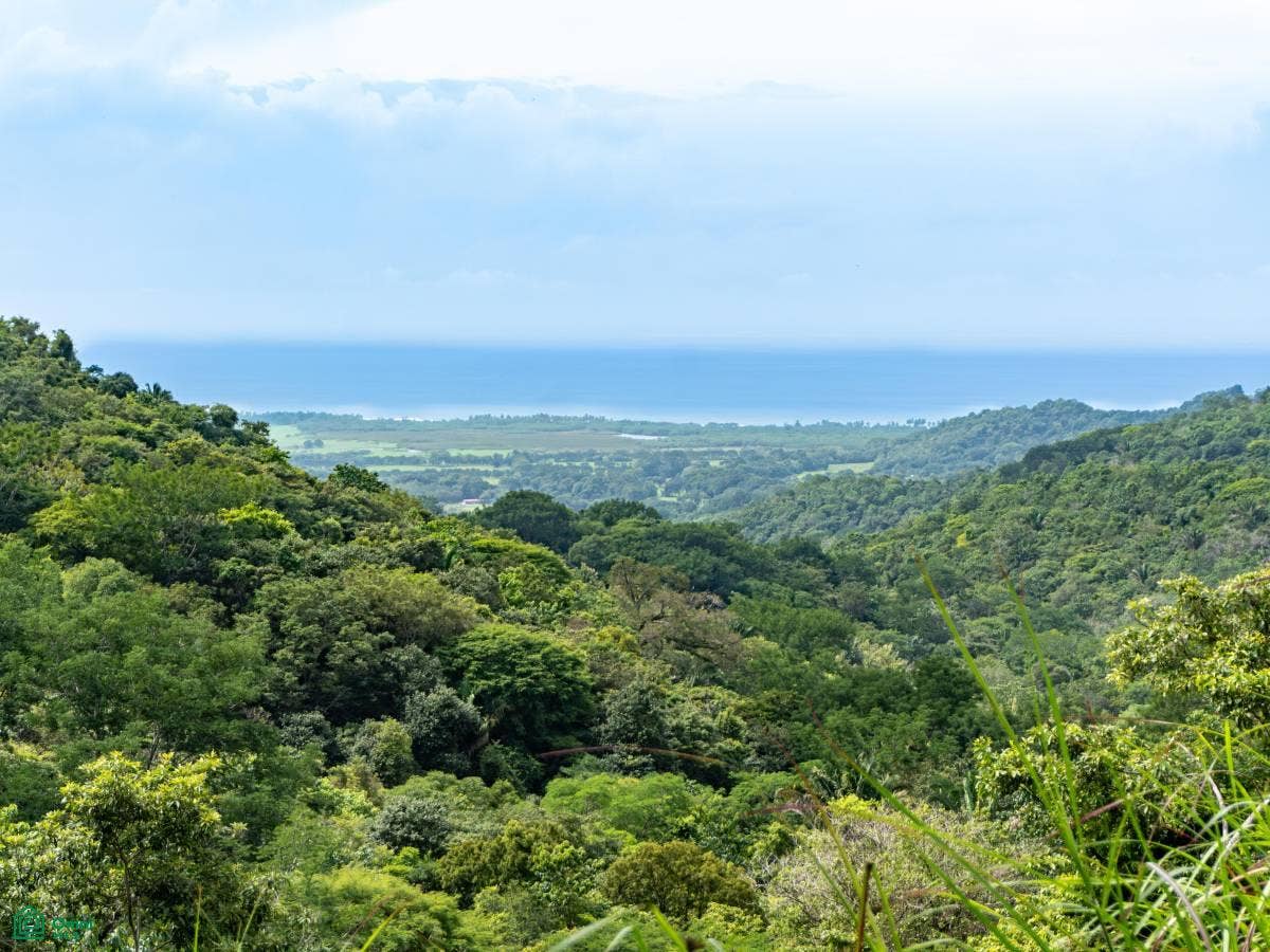 Ocean View Lots, Pilas de Bejuco, Guanacaste, Bejuco, Bejuco, Nandayure, Guanacaste, Costa Rica 50906 Ocean View Lots, Pilas de Bejuco, Guanacaste, Bejuco, Bejuco, Nandayure, Guanacaste, Costa Rica 50906