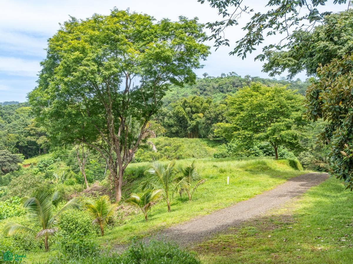 Ocean View Lots, Pilas de Bejuco, Guanacaste, Bejuco, Bejuco, Nandayure, Guanacaste, Costa Rica 50906 Ocean View Lots, Pilas de Bejuco, Guanacaste, Bejuco, Bejuco, Nandayure, Guanacaste, Costa Rica 50906