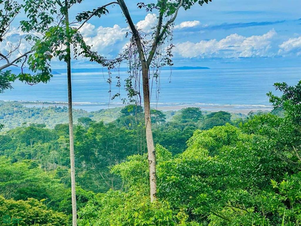 Phase 6 Lot K-14 Calle Del Bosque, Ojochal, Puerto Cortes, Osa, Puntarenas, Costa Rica 60501