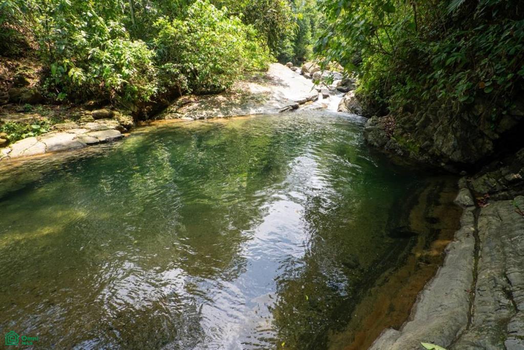 Finca Dos Bocas Puntarenas