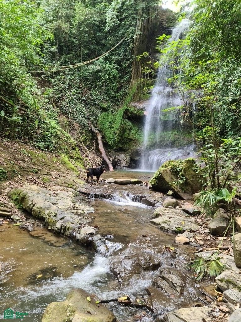 Santa Lusia Waterfall property, San Pedro, Perez Zeledon, San Jose, Costa Rica Santa Lusia Waterfall property, San Pedro, Perez Zeledon, San Jose, Costa Rica