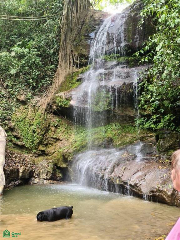 Santa Lusia Waterfall Property San Jose