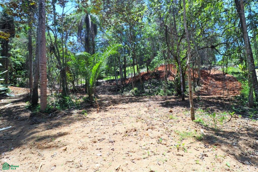 60504 Perezoso, Ojochal, Puerto Cortes, Osa, Puntarenas, Costa Rica 60501