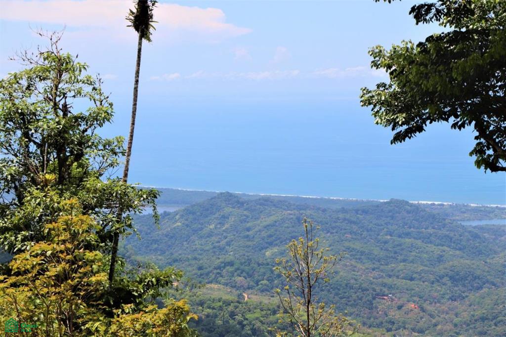 60501 Vegel, Uvita, Puerto Cortes, Osa, Puntarenas, Costa Rica 60501