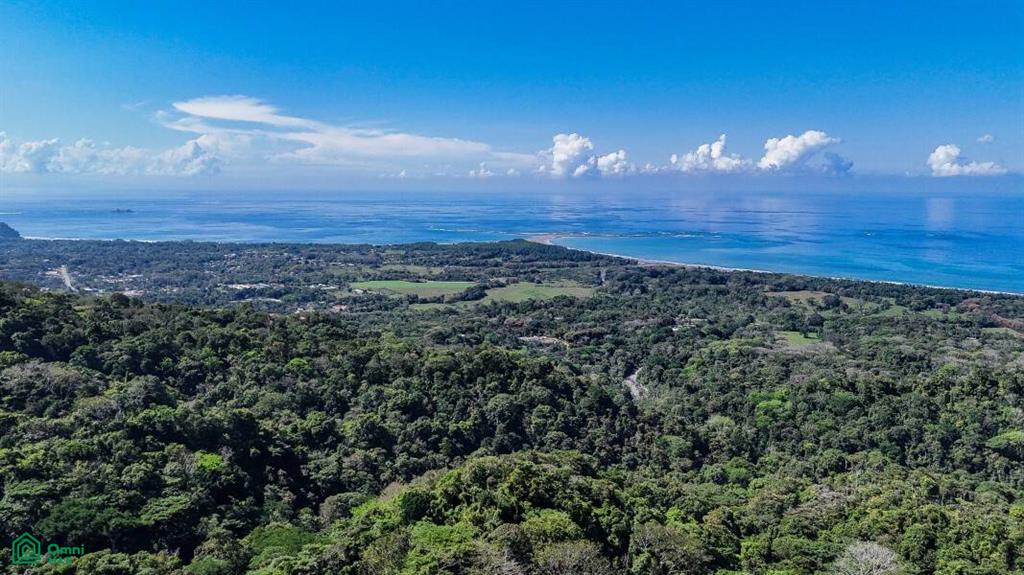 60504 Bejuco, Uvita, Puerto Cortes, Osa, Puntarenas, Costa Rica 60504