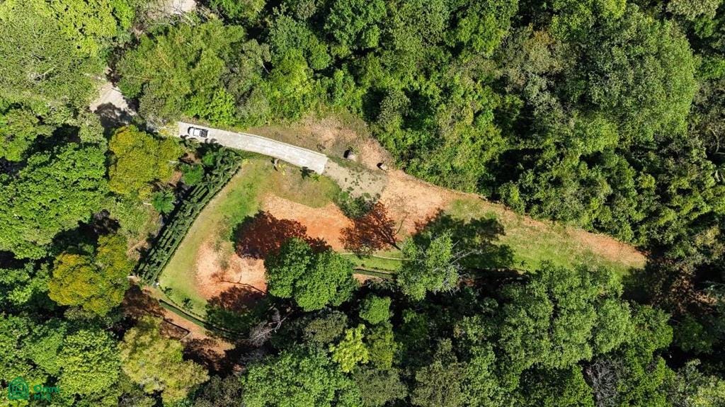 60501 Bosque, Ojochal, Puerto Cortes, Osa, Puntarenas, Costa Rica 60501