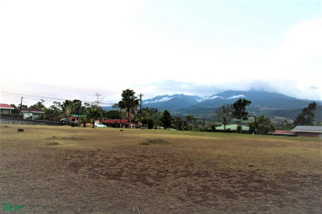 La Palmera San Carlos Alajuela
