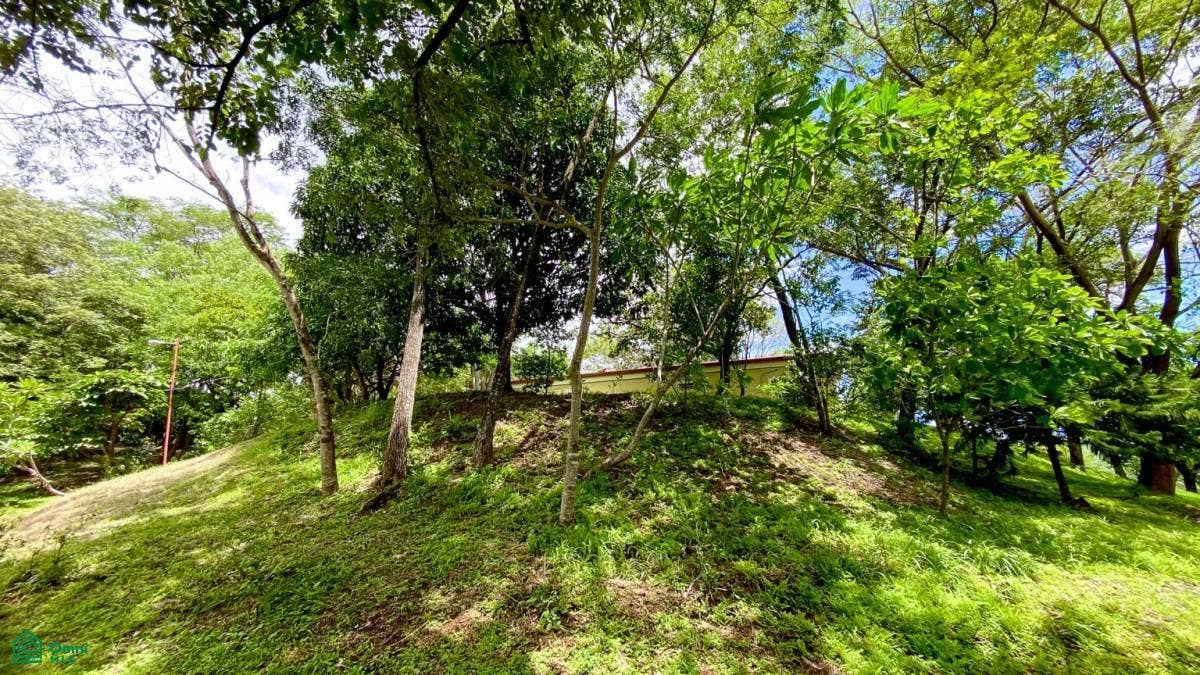 Huacas Ananda, Finca 11,6 ha, Tempate, Tempate, Santa Cruz, Guanacaste, Costa Rica Huacas Ananda, Finca 11,6 ha, Tempate, Tempate, Santa Cruz, Guanacaste, Costa Rica
