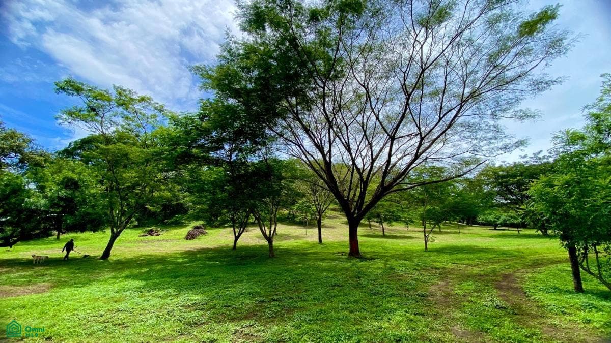 Huacas Ananda, Finca 11,6 ha, Tempate, Tempate, Santa Cruz, Guanacaste, Costa Rica Huacas Ananda, Finca 11,6 ha, Tempate, Tempate, Santa Cruz, Guanacaste, Costa Rica