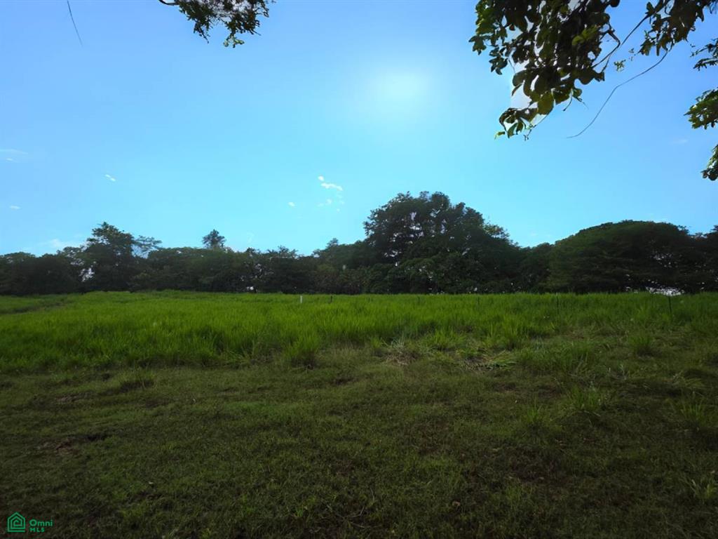 Solo 12 Lotes Distintos Tamanos Santa Cruz Guanacaste