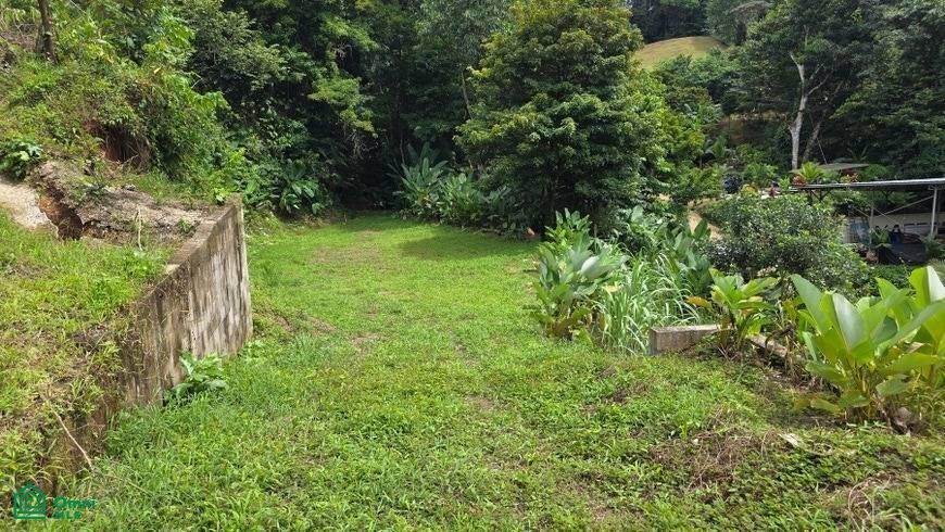 130 Brisas Lot Build Your Dream Home In Uvita Las Puntarenas
