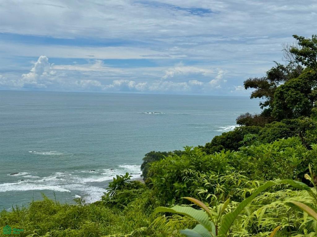 Dominical Puntarenas
