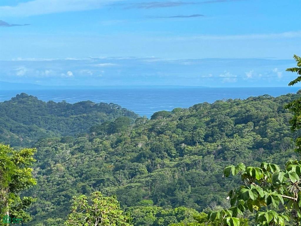 Lagunas Puntarenas