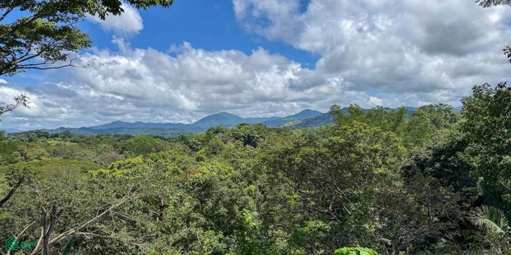 Manzanillo Puntarenas