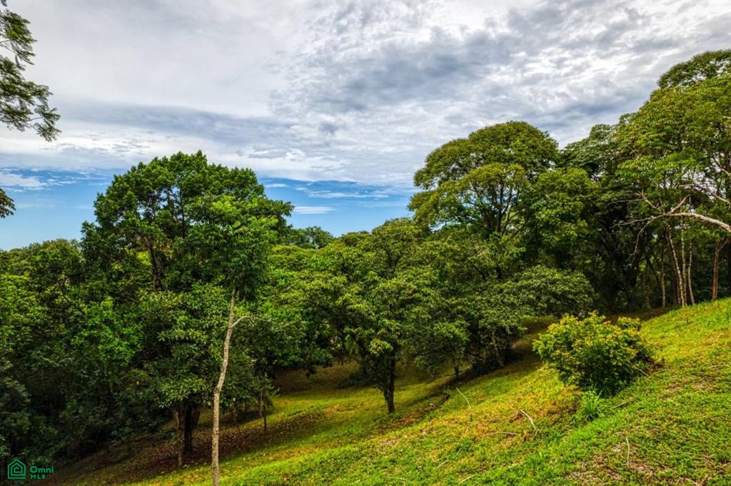 Puntarenas