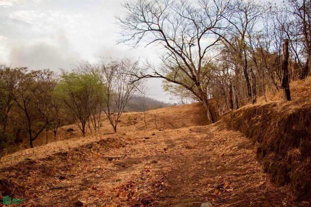 Hacienda San Antonio La Libertad Sardinal Guanacaste