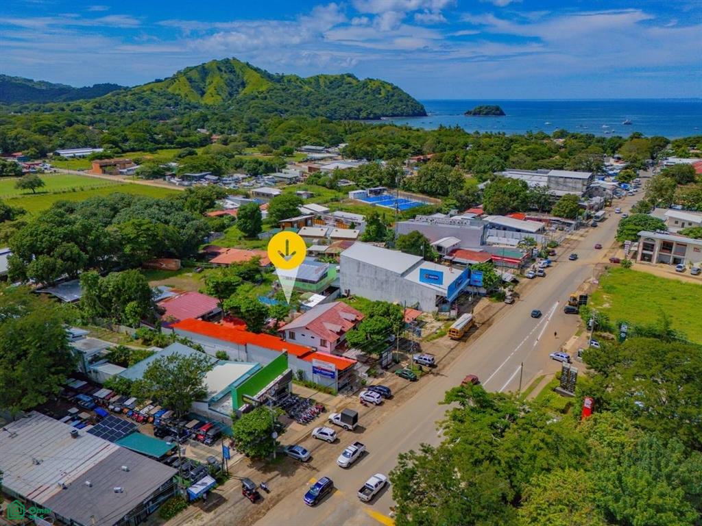 Commercialresidential Almond Tree Guanacaste