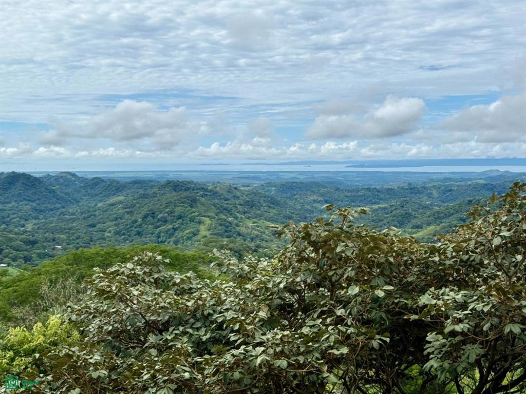 Monteverde Puntarenas